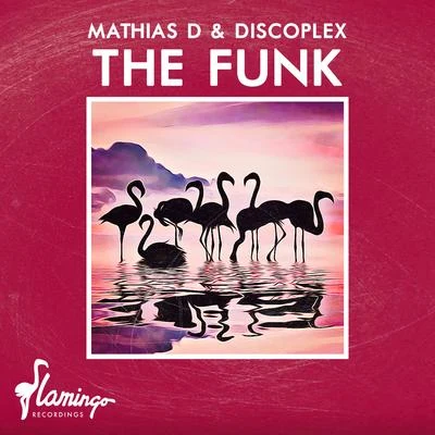 Mathias D.Skiavo & VindesThe Funk