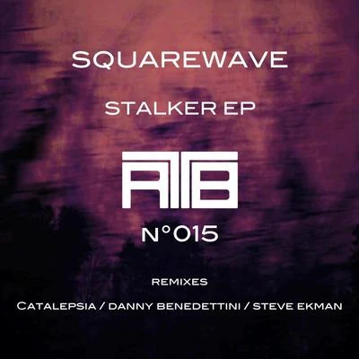 SquarewaveStalker EP