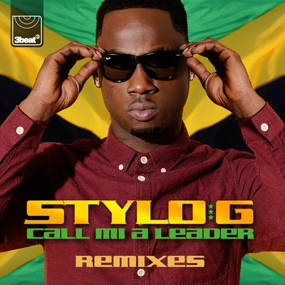 Stylo GRozallafeverpitchCall Mi A Leader (Remixes)