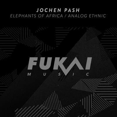 Jochen PashElephants of AfricaAnalog Ethnic