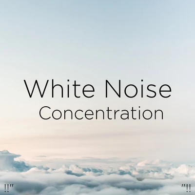 White Noise!!" White Noise Concentration "!!