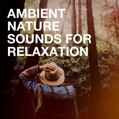 Sleep Sounds of Nature/Nature Sounds Collection/Fabricantes De LluviaAmbient Nature Sounds for Relaxation