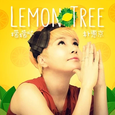 樸慧京Lemon tree