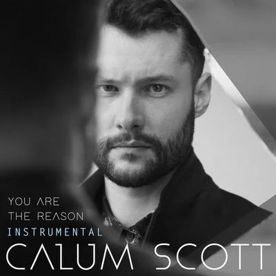 Calum ScottYou Are The Reason (Instrumental)