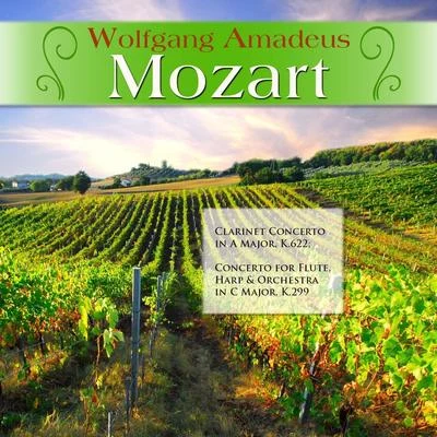 Gunter Kehr/Württemberg Chamber Orchestra HeilbronnWolfgang Amadeus Mozart: Clarinet Concerto in A Major, K.622; Concerto for Flute, Harp & Orchestra in C Major, K.299