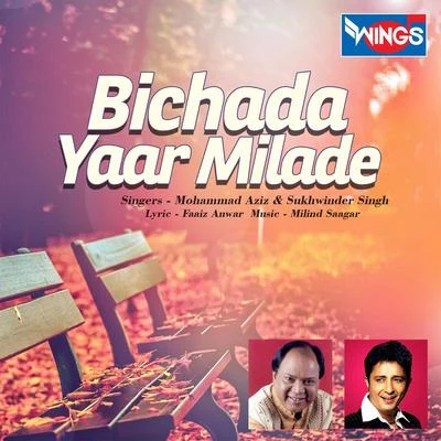 Surjo Bhattacharya/Sukhwinder Singh/Hema Sardesai/Asha Bhosle/Roop Kumar Rathod/Sujata TrivediBichada Yaar Milade