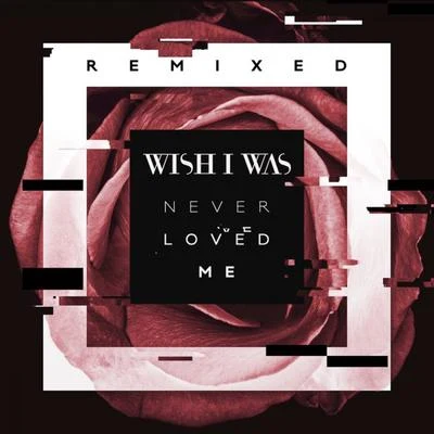 Wish I WasNever Loved Me (Remix)