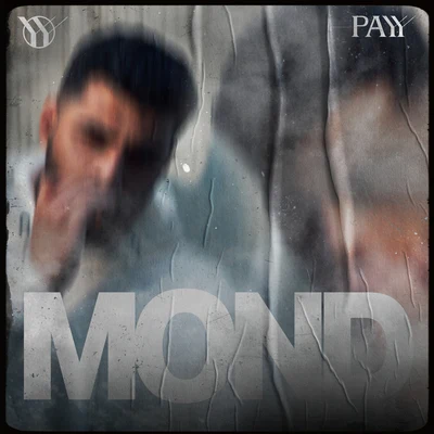 PayyMond