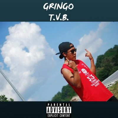 GRiNGOT.V.B