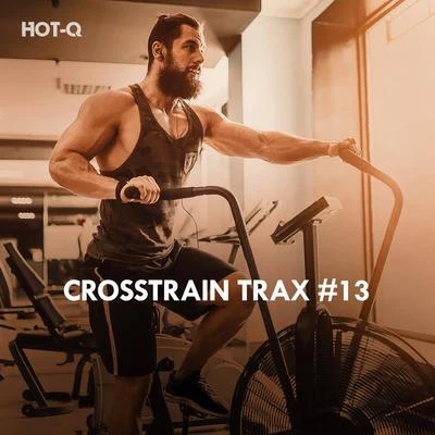 Hot-Q/The Fish House/Roque/Breno GontijoCrosstrain Trax, Vol. 13