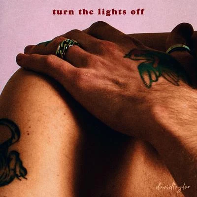 David TaylorTurn the Lights Off