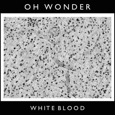 Oh WonderWhite Blood