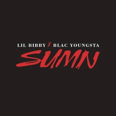 Lil Bibby/DJ Flippp/BandManFari/ThouxanbanfauniSumn