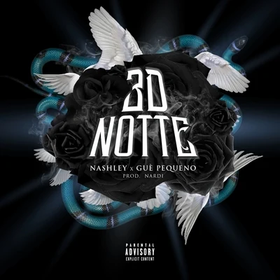 Nashley/Giaime3D Notte