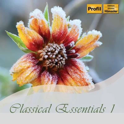 National Philharmonic OrchestraClassical Essentials, Vol. 1