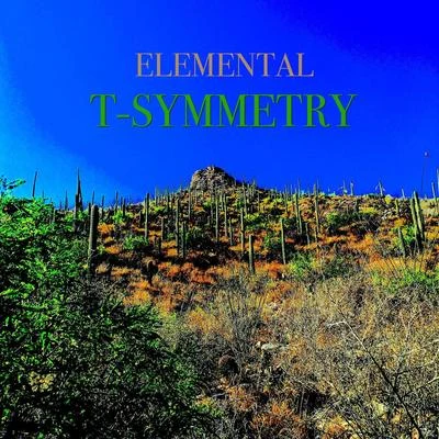 Elemental/Lil Ron/Mc Dues/DJ JanyiT-Symmetry