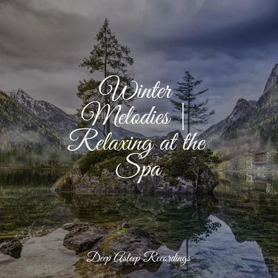 Binaural BeatsMeditationWinter Melodies | Relaxing at the Spa