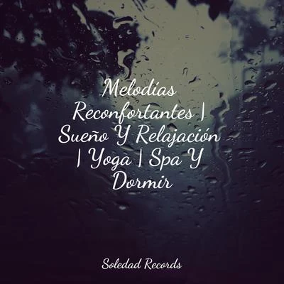 Massagem Coleção de MúsicasMelodías Reconfortantes | Sueño Y Relajación | Yoga | Spa Y Dormir