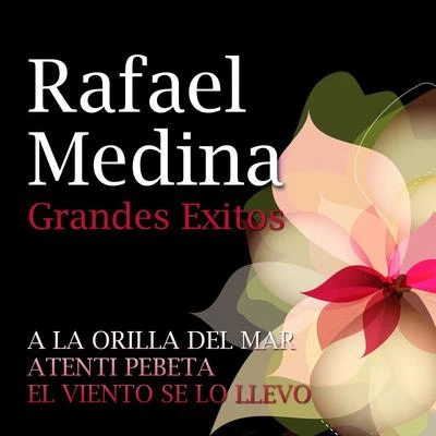 Rafael Medina/Rafael de ManuelaRafael Medina Grandes Exitos