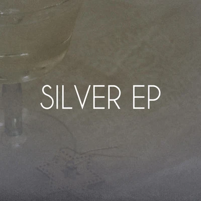 Martin EyererSilver EP