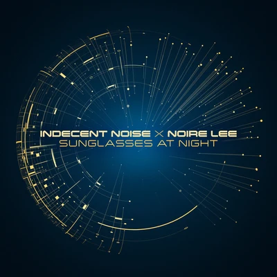 Indecent NoiseAcid TestSunglasses at Night