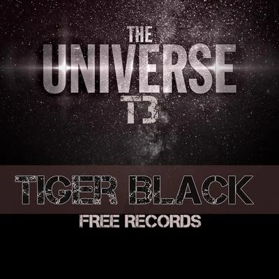 Black Tiger Sex MachineThe Universe