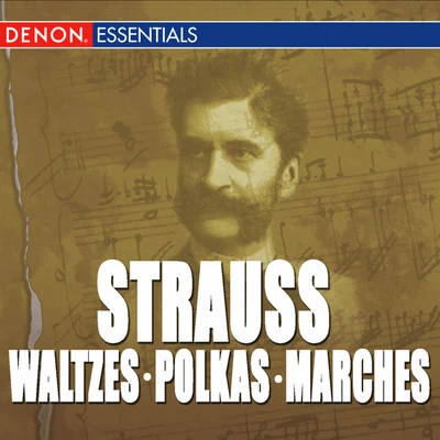 Carl MichalskiQuintino & BlasterjaxxGreat Strauss Waltzes, Polkas & Marches: Carl Michalski & The Viennese Folk Opera Orchestra