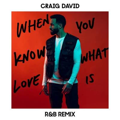 Craig David/Star.OneWhen You Know What Love Is (R&B Remix)