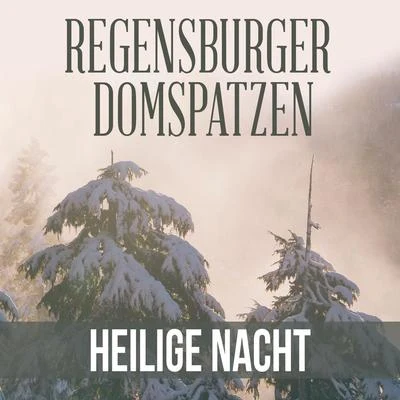 Eberhard Kraus/Regensburger Domspatzen/Georg RatzingerHeilige Nacht