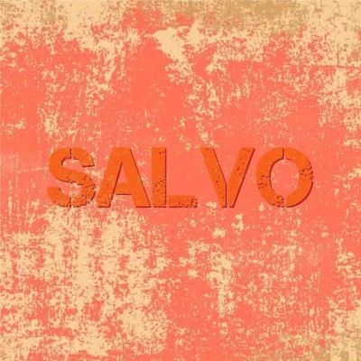 SalvoRunaway(Remix)