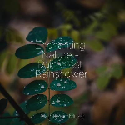 Namaste YogaEnchanting Nature - Rainforest Rainshower