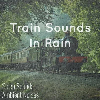 Rain Sounds/Natural Nature Makers/Sleep Recording SoundsTrain Sounds in Rain