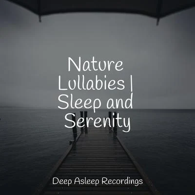 Calm ShoresNative American FluteMassageNature Lullabies | Sleep and Serenity