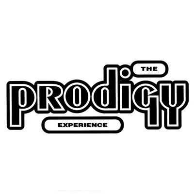 The ProdigyExperience