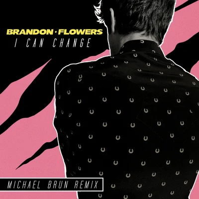 Brandon FlowersI Can Change（ Michael Brun Remix）