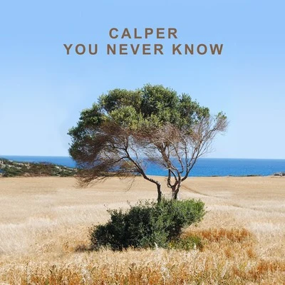 Calper/Abi F JonesYou Never Know