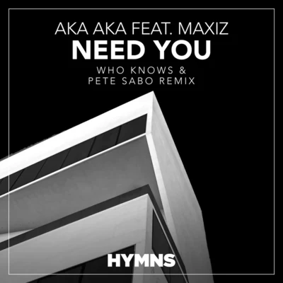 AKA AKA/YouNotUsNeed You (Who Knows & Pete Sabo Remix)