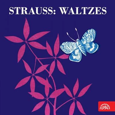 Orchesterbegleitung/Viorica Ursuleac/Clemens Krauss/Eugen Transky/Feodor Schaljapin II/Emmy Bettendorf IIStrauss: Waltzes