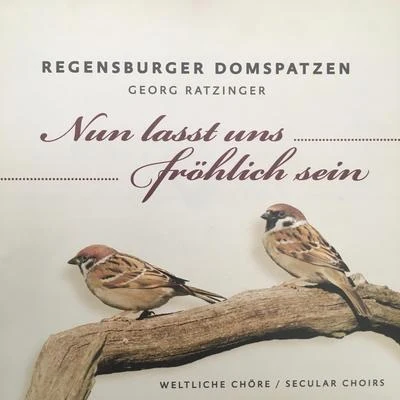 Roland Buchner/Katharine Fuge/Yosemeh Adjei/Hubert Nettinger/Musica Florea Prag/Yorck Felix Speer/Regensburger DomspatzenNun lasst uns alle fröhlich sein