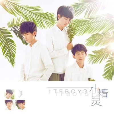 嘻游记/TFBOYS (The Fighting Boys)小精灵