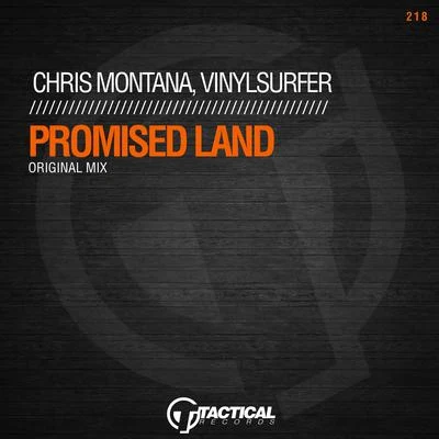 Chris MontanaVinylsurferPromised Land