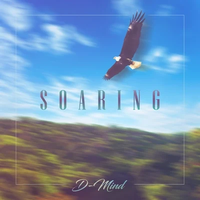 D-MindSoaring