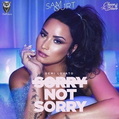 Gilcas/Sam OurtSorry Not Sorry (Sam Ourt Remix)