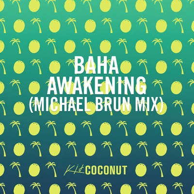 Michael BrunAwakening (Michael Brun Mix)