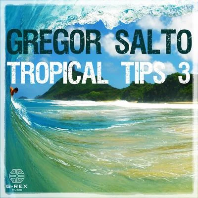 Nikola Vujicic/Shazalakazoo/JazzotronGregor Salto - Tropical Tips 3