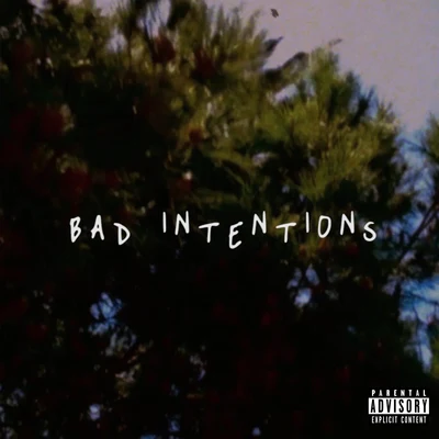 Trip CarterBad Intentions