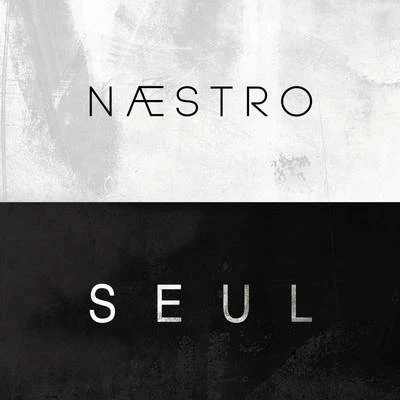 Mister You/Naestro/Hayce Lemsi/L'AllemandSeul