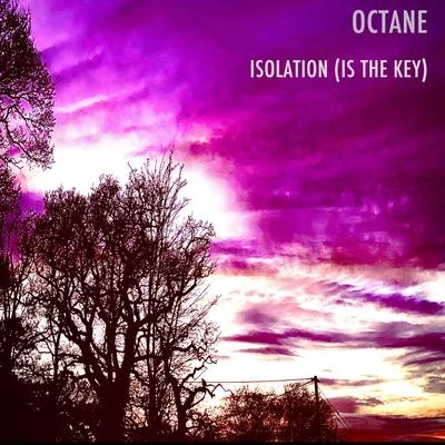 Octane/ZetheX/DVeight/SekerIsolation (Is The Key)