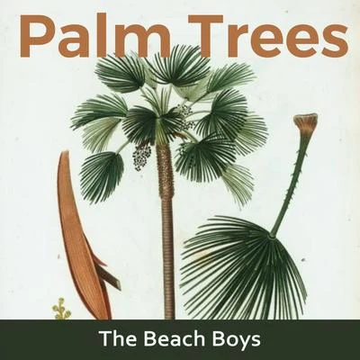 The Beach BoysPalm Trees