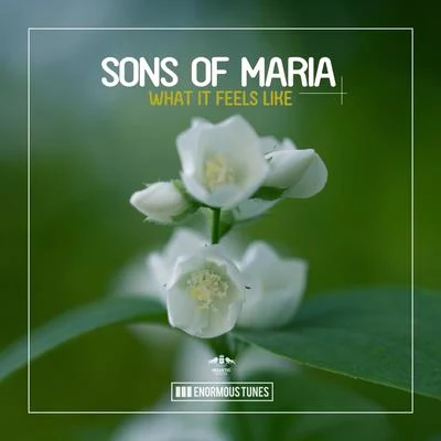 Sons Of Maria/Alex Breitling/Booka Shade/Karin Park/Dessy Slavova/Purple Disco Machine/Nora En Pure/Matvey Emerson/Anas.A/SaccaoWhat It Feels Like